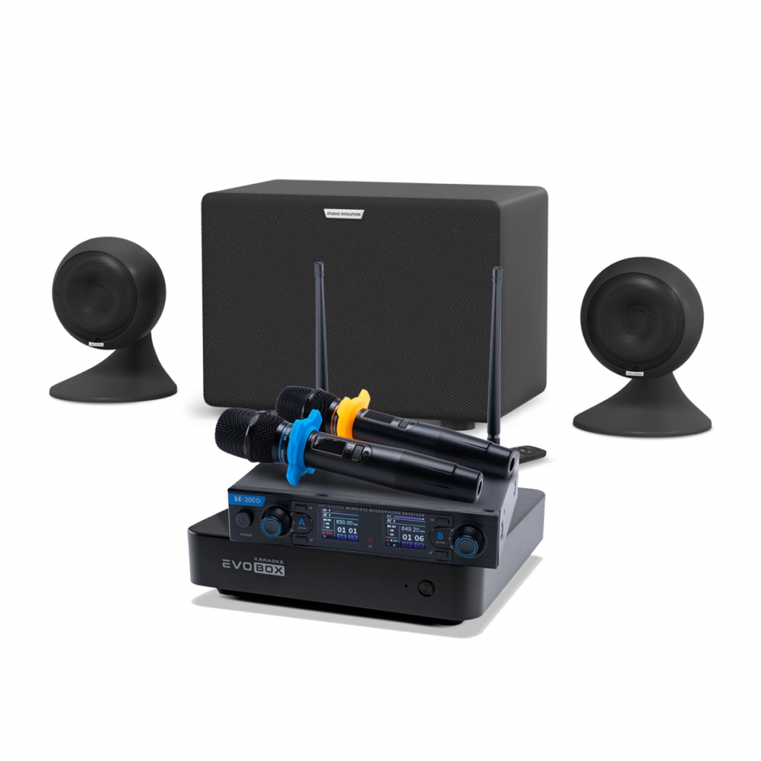 караоке-комплект EVOBOX + EvoSound Sphere 2.1 в Еврейской АО