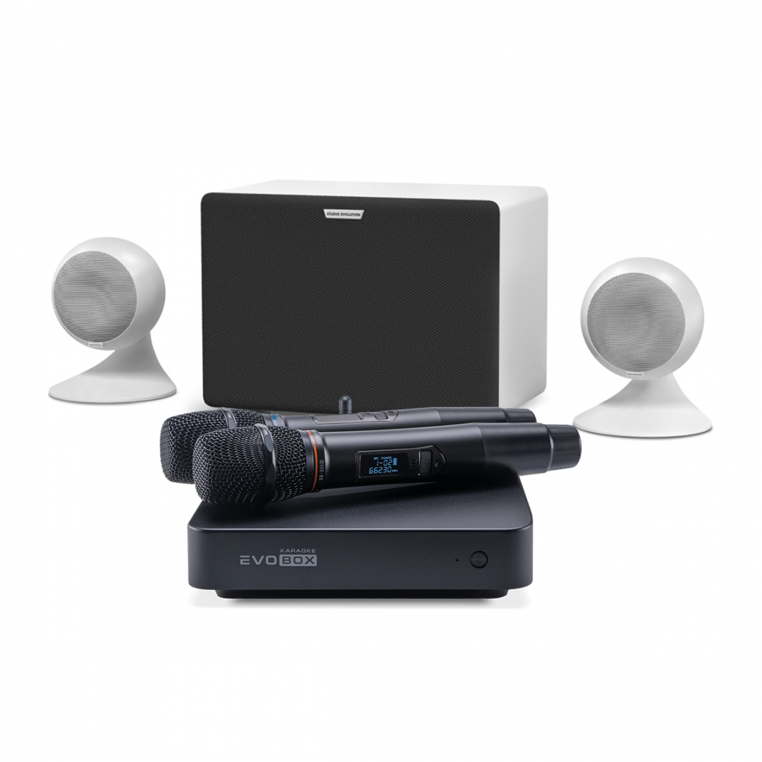 караоке-комплект EVOBOX Classic + EvoSound Sphere 2.1 в Еврейской АО