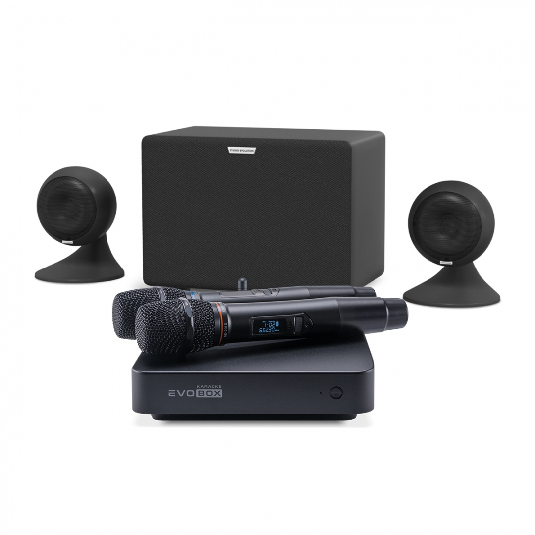 караоке-комплект EVOBOX Plus + EvoSound Sphere 2.1 в Еврейской АО