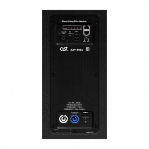Активная акустическая система AST-310A в Еврейской АО
