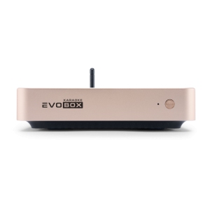 EVOBOX Classic караоке-система для дома в Еврейской АО