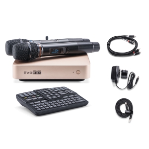 EVOBOX Classic караоке-система для дома в Еврейской АО