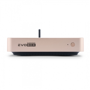 EVOBOX Plus караоке-система для дома в Еврейской АО