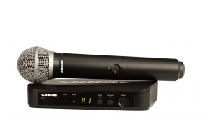 SHURE BLX24E/PG58 M17 вокальная радиосистема в Еврейской АО